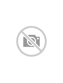 Anvelopa ALL SEASON MASSIMO MSA13 195/70R15C 104R 